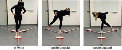 Load-Induced Changes of Inter-Limb Asymmetries in Dynamic Postural Control in Healthy Subjects